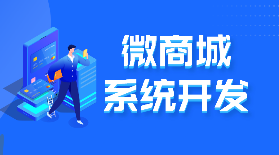 微商城系統開發商-微商城系統開發商業計劃  軟件系統開發 第1張